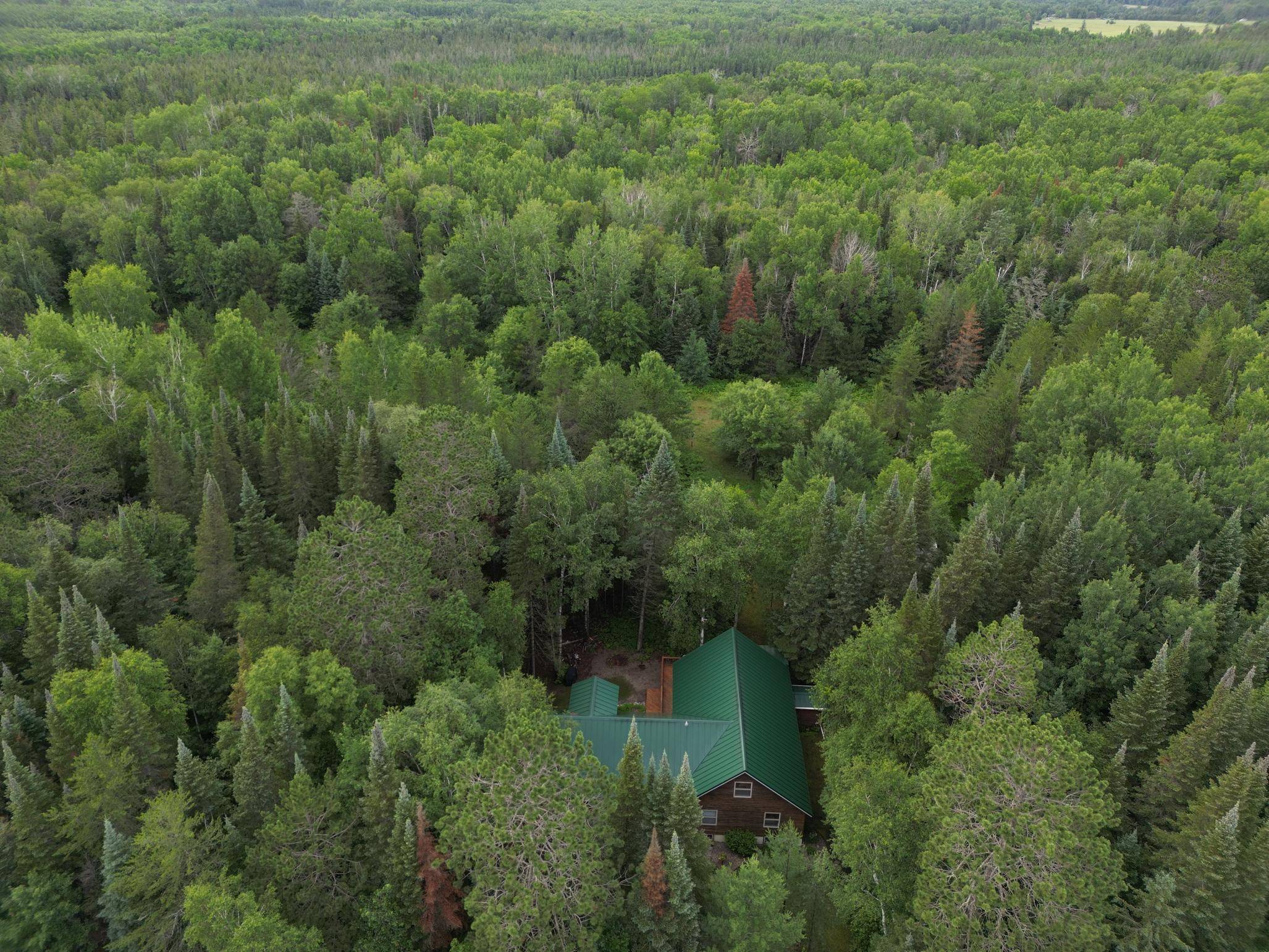 14085 Snapping Turtle CT NE, Bemidji, MN 56601