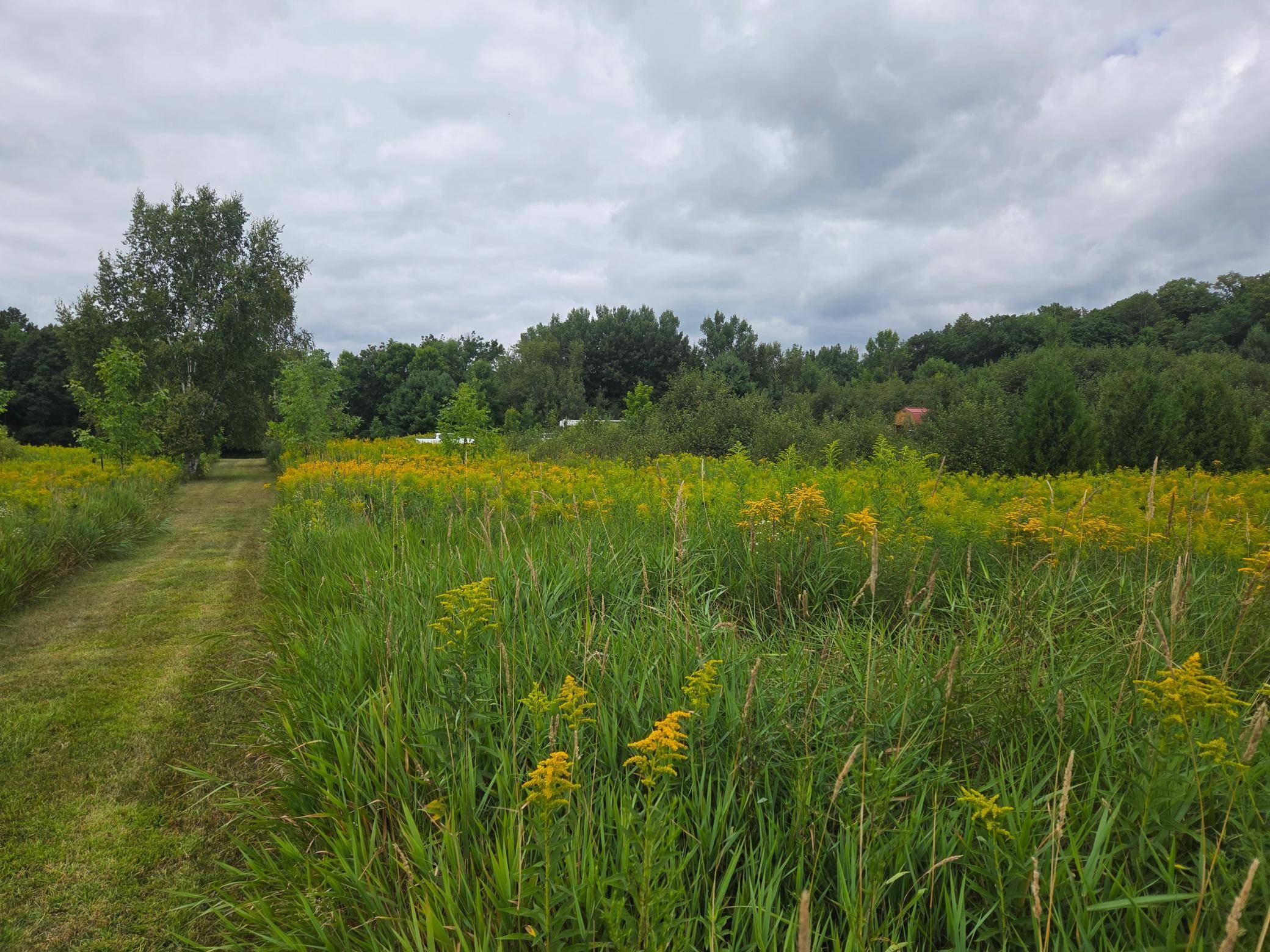 2979 12th ST, Barronett, WI 54813