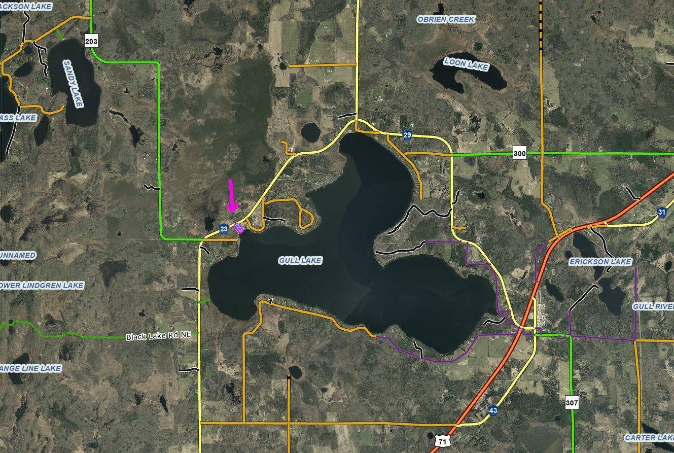 21226 Gull Lake Loop RD NE, Tenstrike, MN 56683