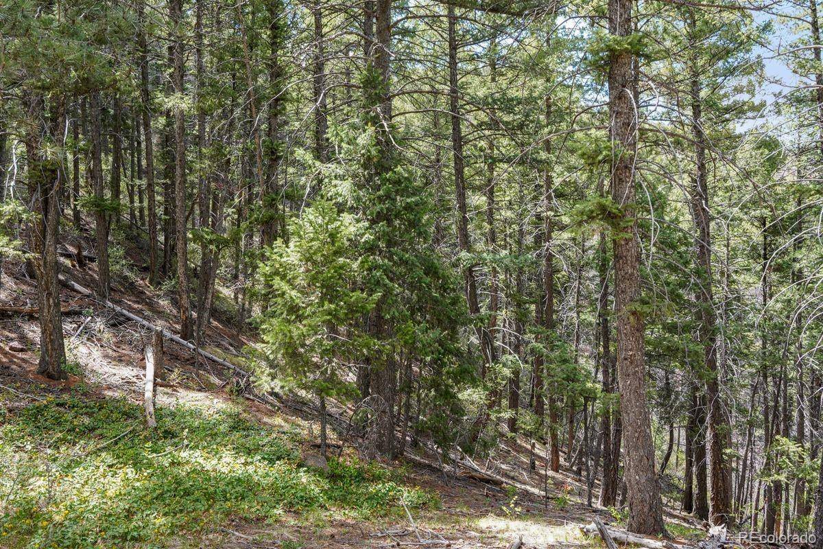 15947 S Perry Park RD, Palmer Lake, CO 80133