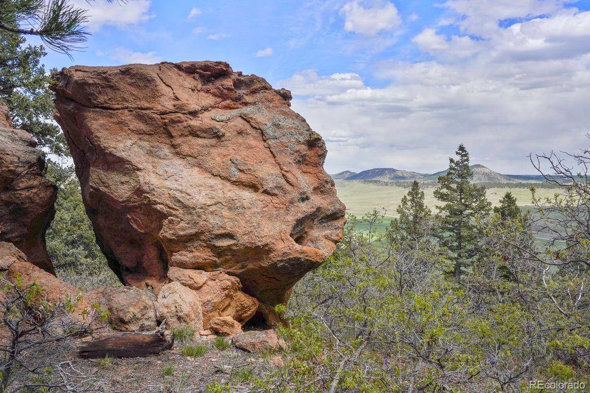 15947 S Perry Park RD, Palmer Lake, CO 80133