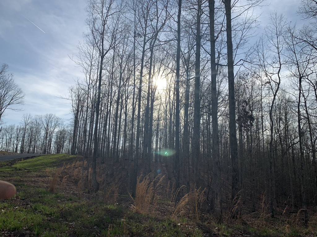 1385 Ridgewood Drive, Mc Ewen, TN 37101