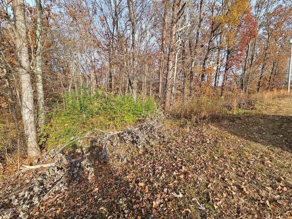 2930 Smyrna Heights Road, Evensville, TN 37332