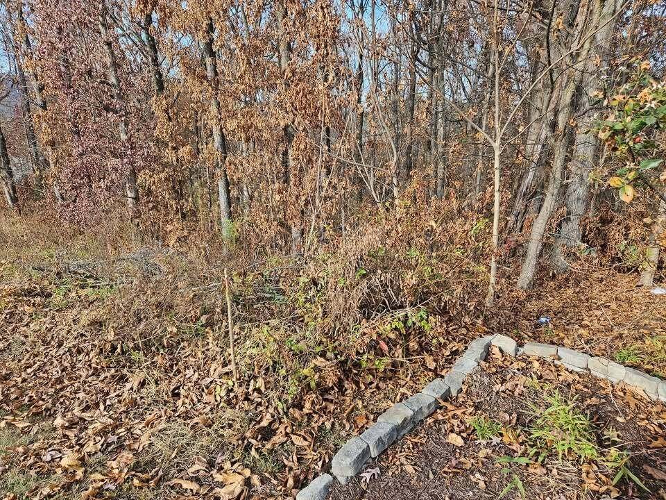 2930 Smyrna Heights Road, Evensville, TN 37332