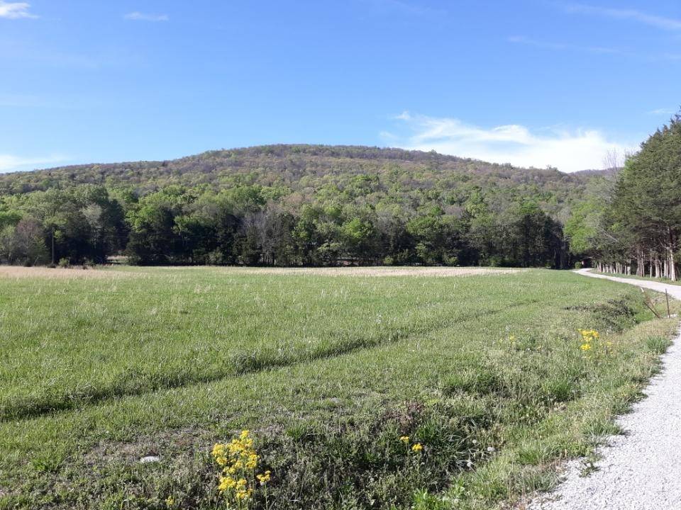 0 Hawkins Cove Rd, Cowan, TN 37318