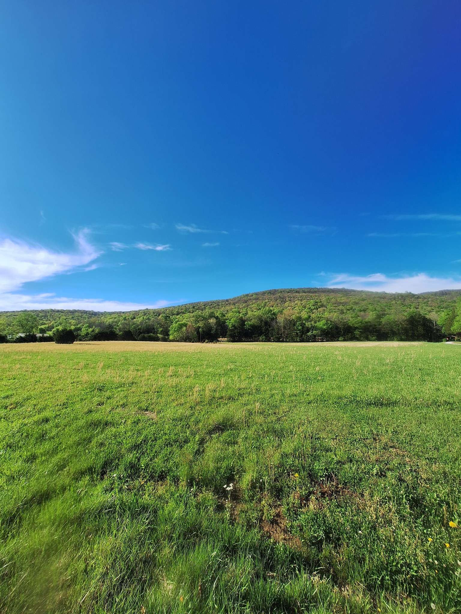 0 Hawkins Cove Rd, Cowan, TN 37318