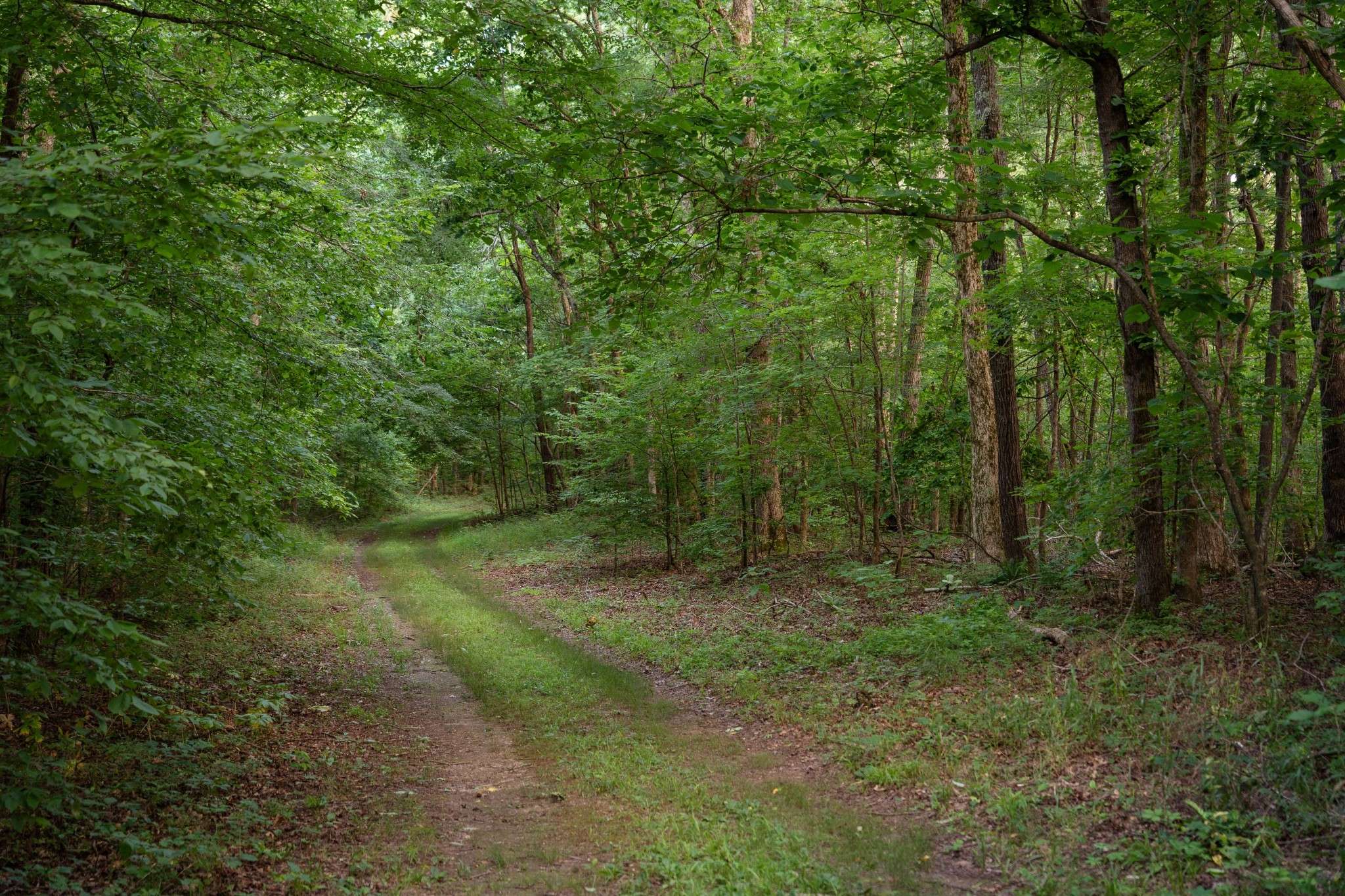 846 R Wilkerson Dr, Centerville, TN 37033