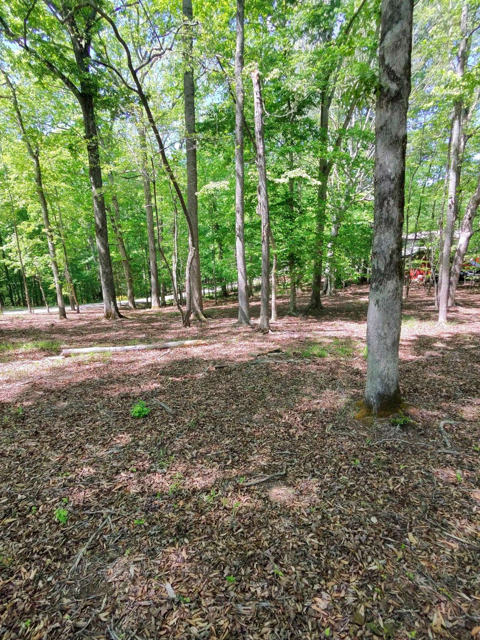 0 Four Seasons Dr, Smithville, TN 37166