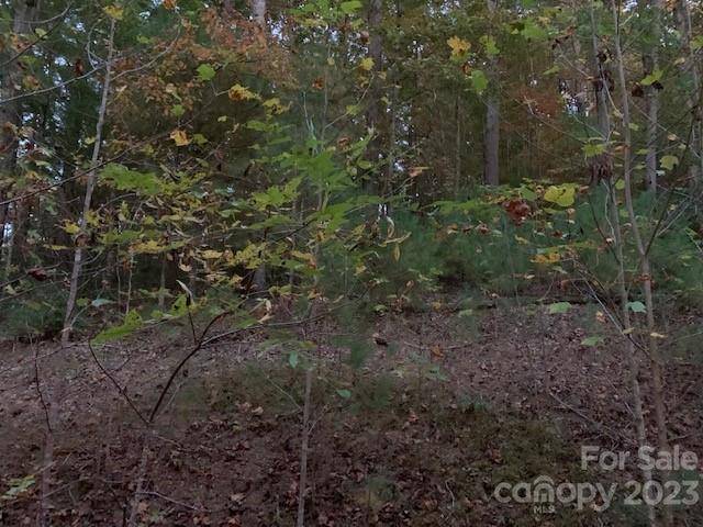 Lot 6 Theresa Terrace MDWS #6, Nebo, NC 28761