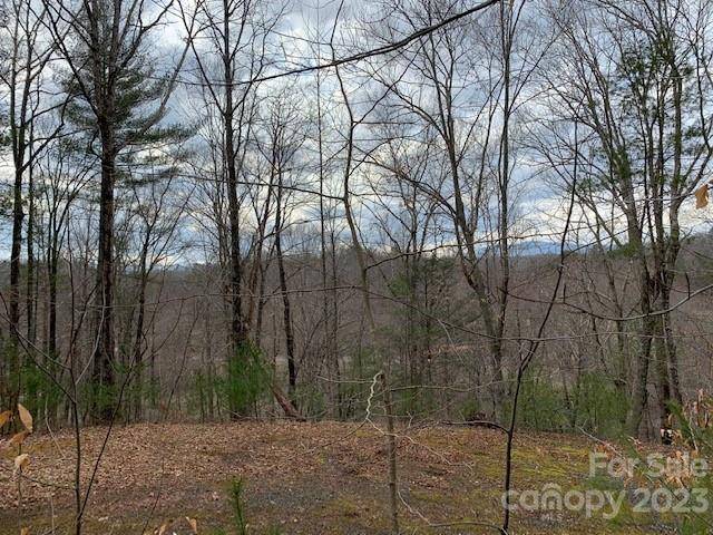 Lot 6 Theresa Terrace MDWS #6, Nebo, NC 28761