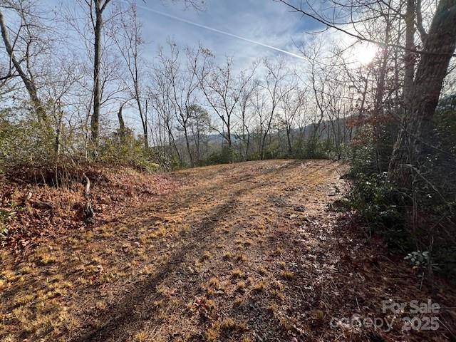 LOT 2 Tobacco Branch RD, Almond, NC 28702