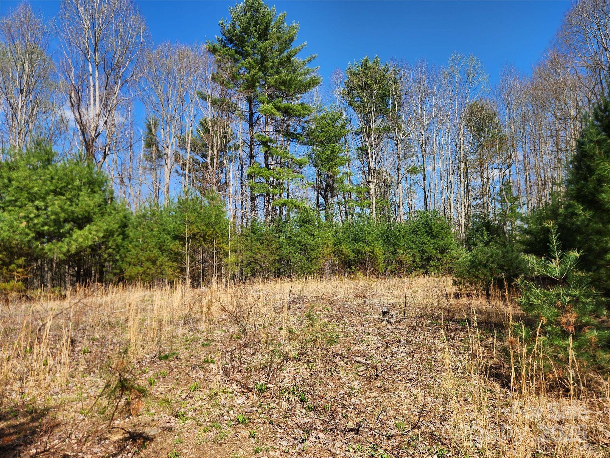 6033 Hwy 321 HWY, Sugar Grove, NC 28679