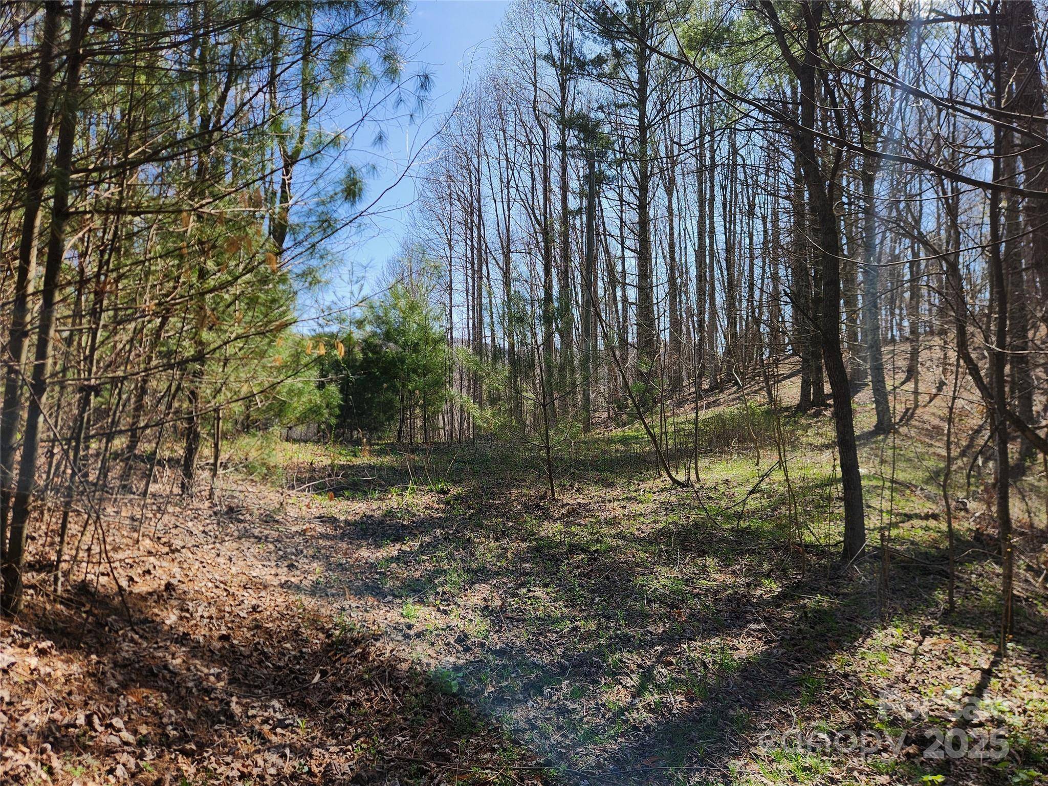 6033 Hwy 321 HWY, Sugar Grove, NC 28679