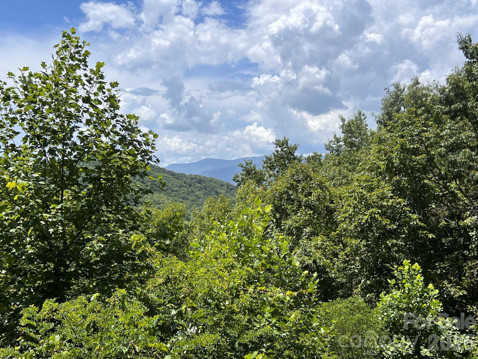Lot 14 Fontana Ridge RD, Bryson City, NC 28713