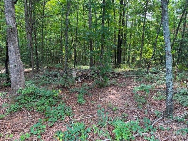 744 Old Hollis RD #12, Ellenboro, NC 28040