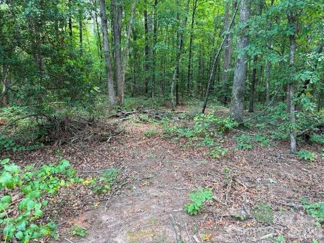 744 Old Hollis RD #12, Ellenboro, NC 28040