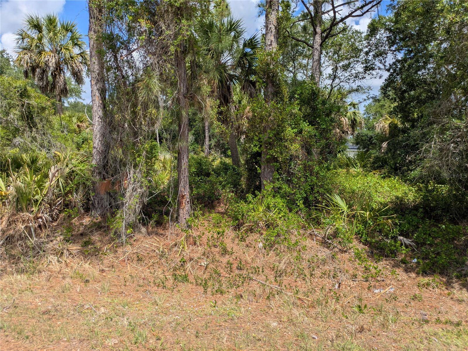 DELIGHT AVE, North Port, FL 34288