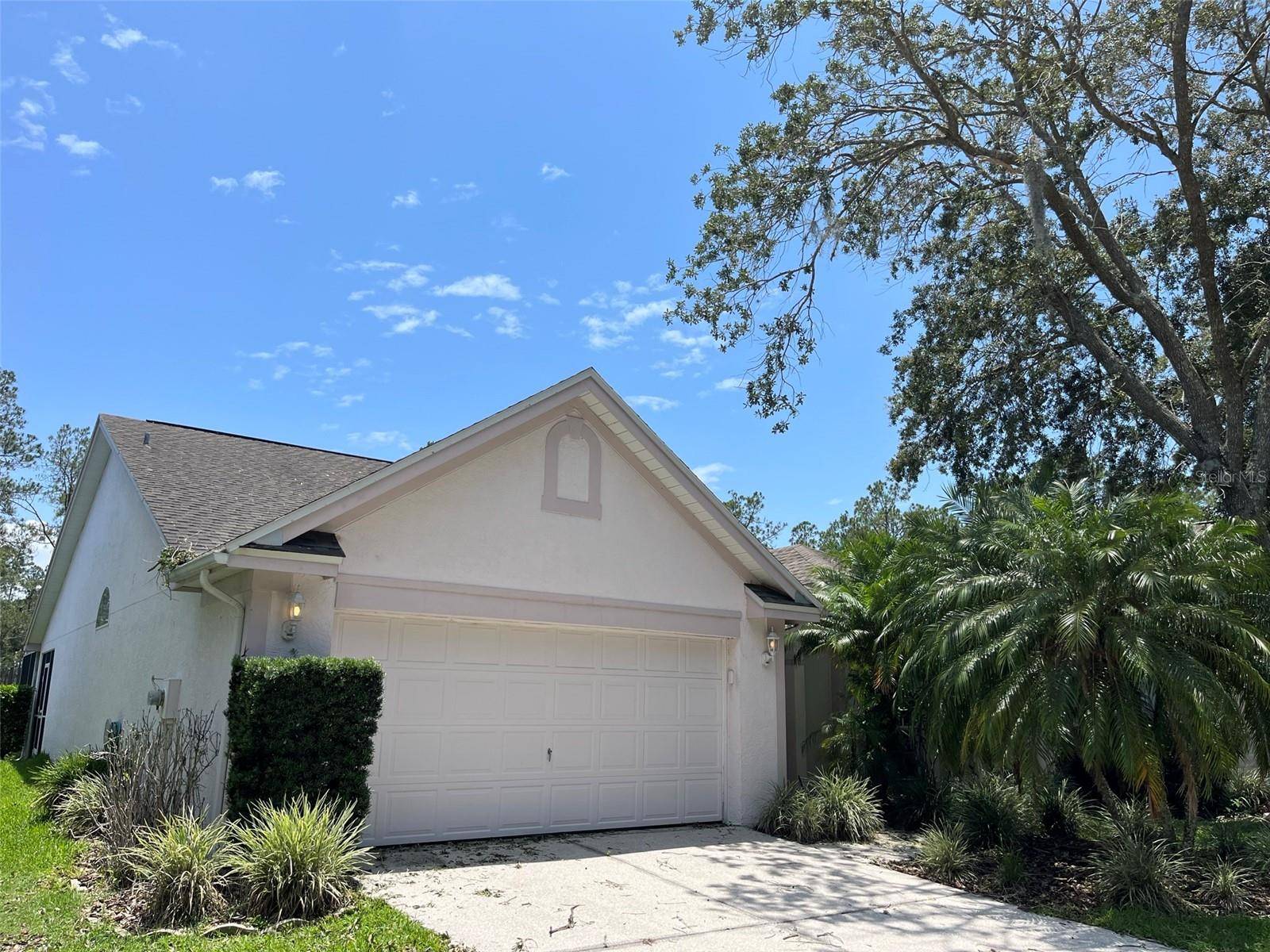 9411 WILLOW COVE CT, Tampa, FL 33647