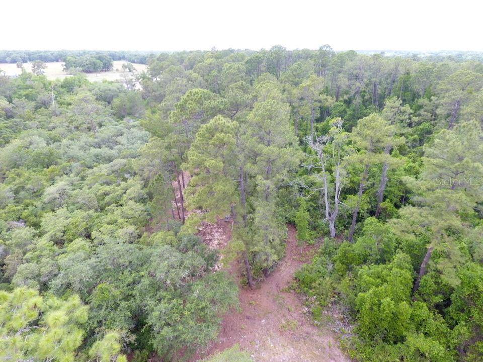 161 SNAKE HILL RD, Crescent City, FL 32112