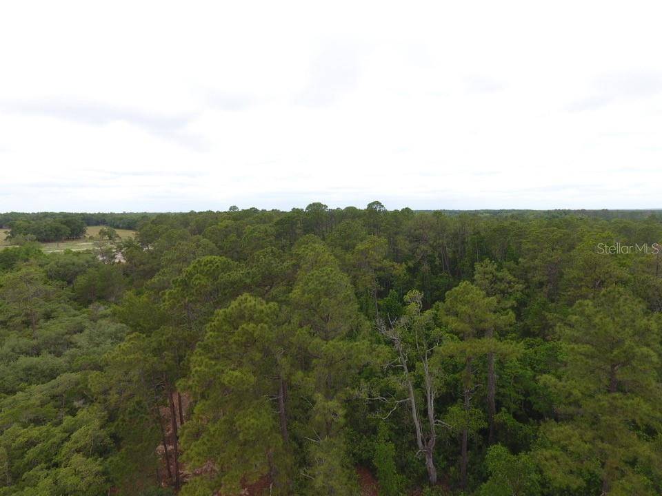 161 SNAKE HILL RD, Crescent City, FL 32112