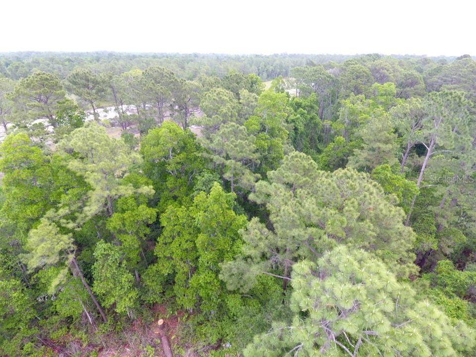 161 SNAKE HILL RD, Crescent City, FL 32112