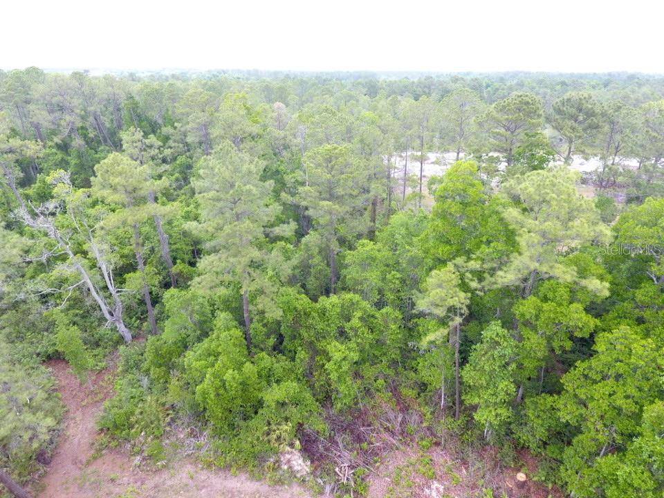 161 SNAKE HILL RD, Crescent City, FL 32112