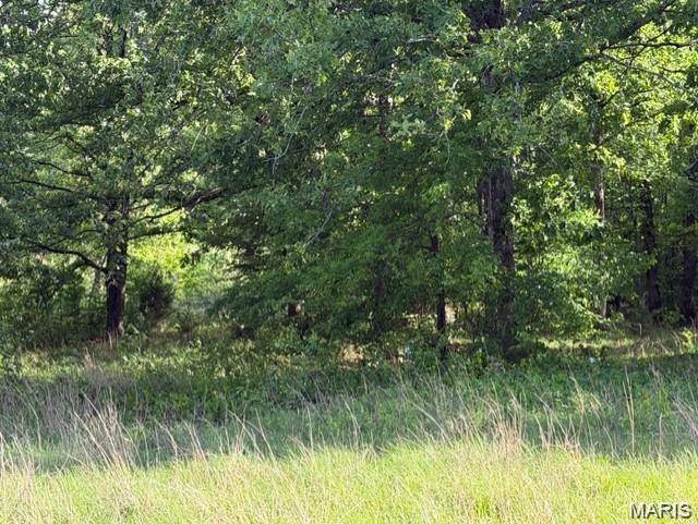 00 Rainbow, Poplar Bluff, MO 63901