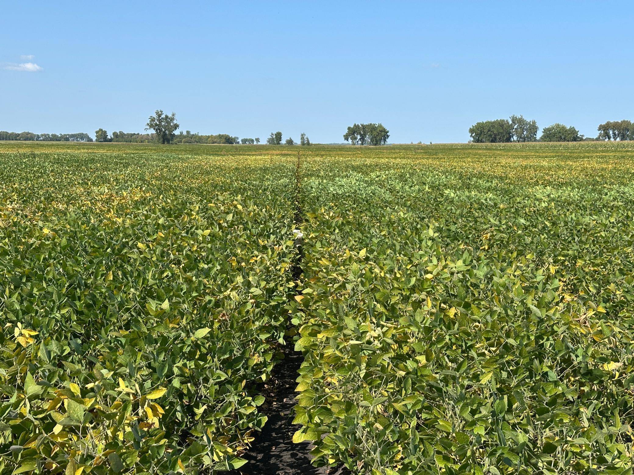 TBD County 8, Campbell, MN 56522