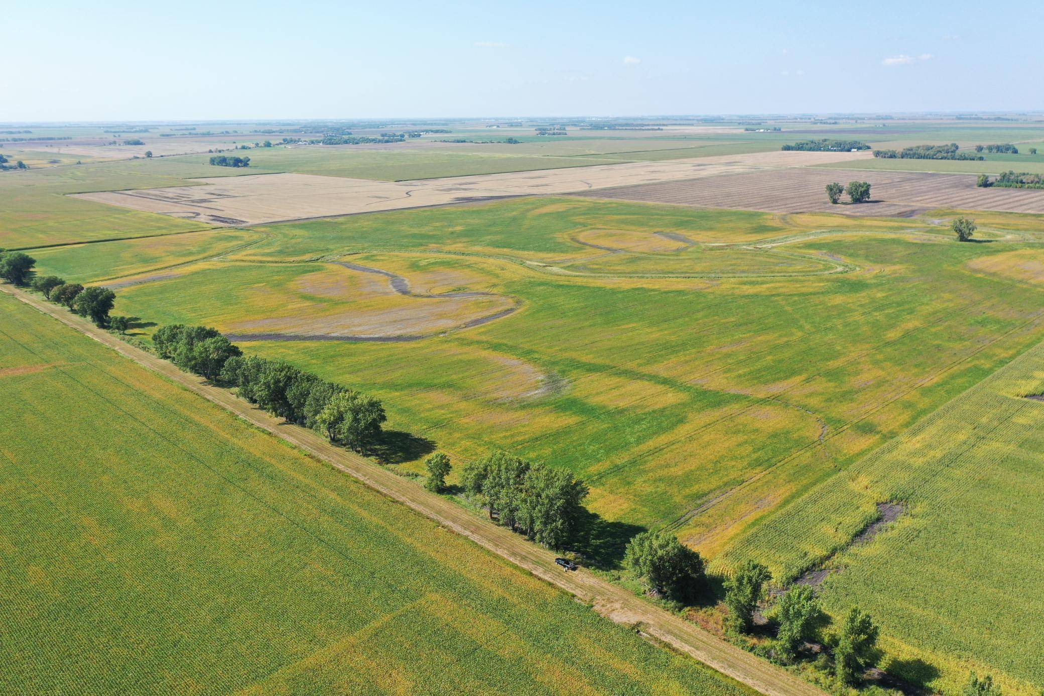 TBD County 8, Campbell, MN 56522