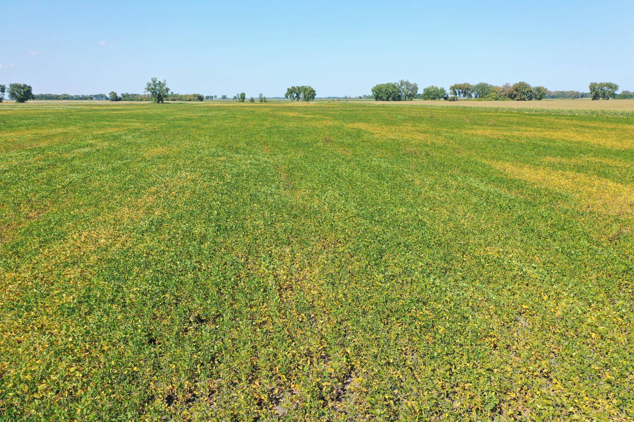 TBD County 8, Campbell, MN 56522