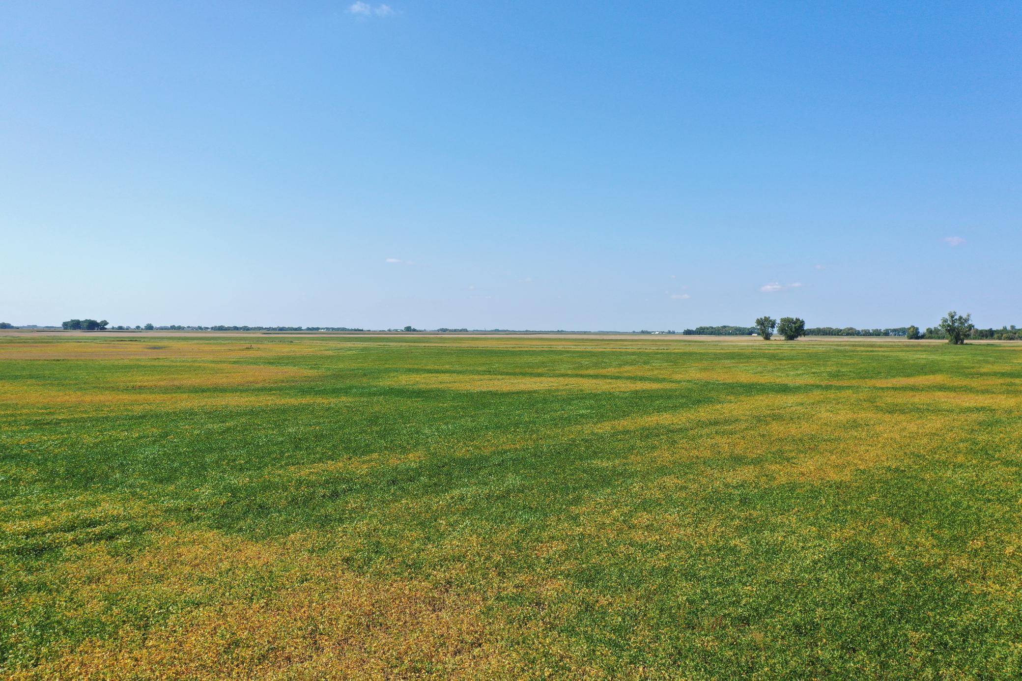 TBD County 8, Campbell, MN 56522
