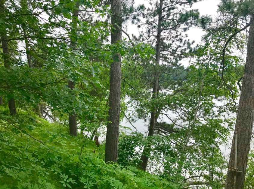 38284 Ox Lake LNDG, Crosslake, MN 56442