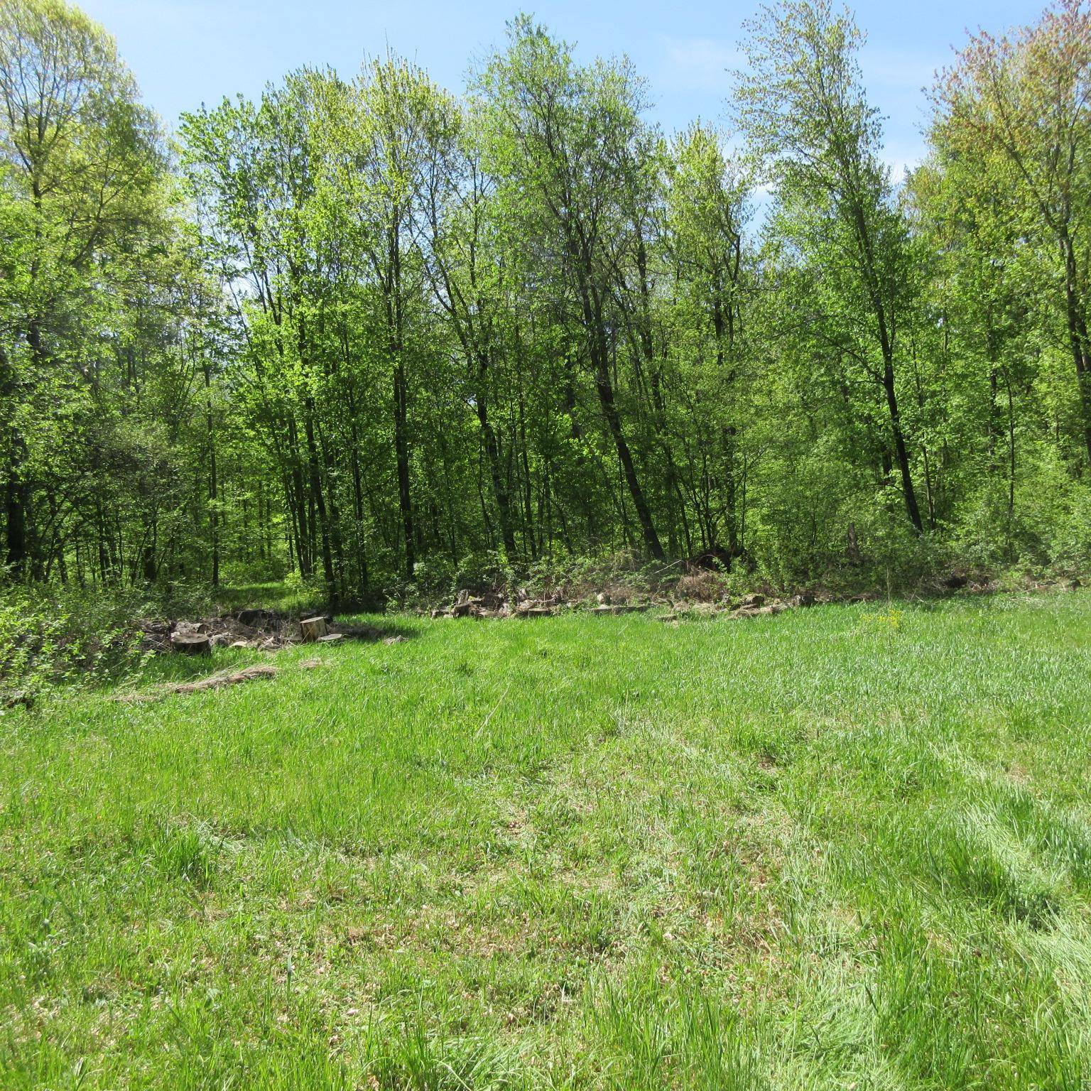 xxx 810th AVE, Boyceville, WI 54751