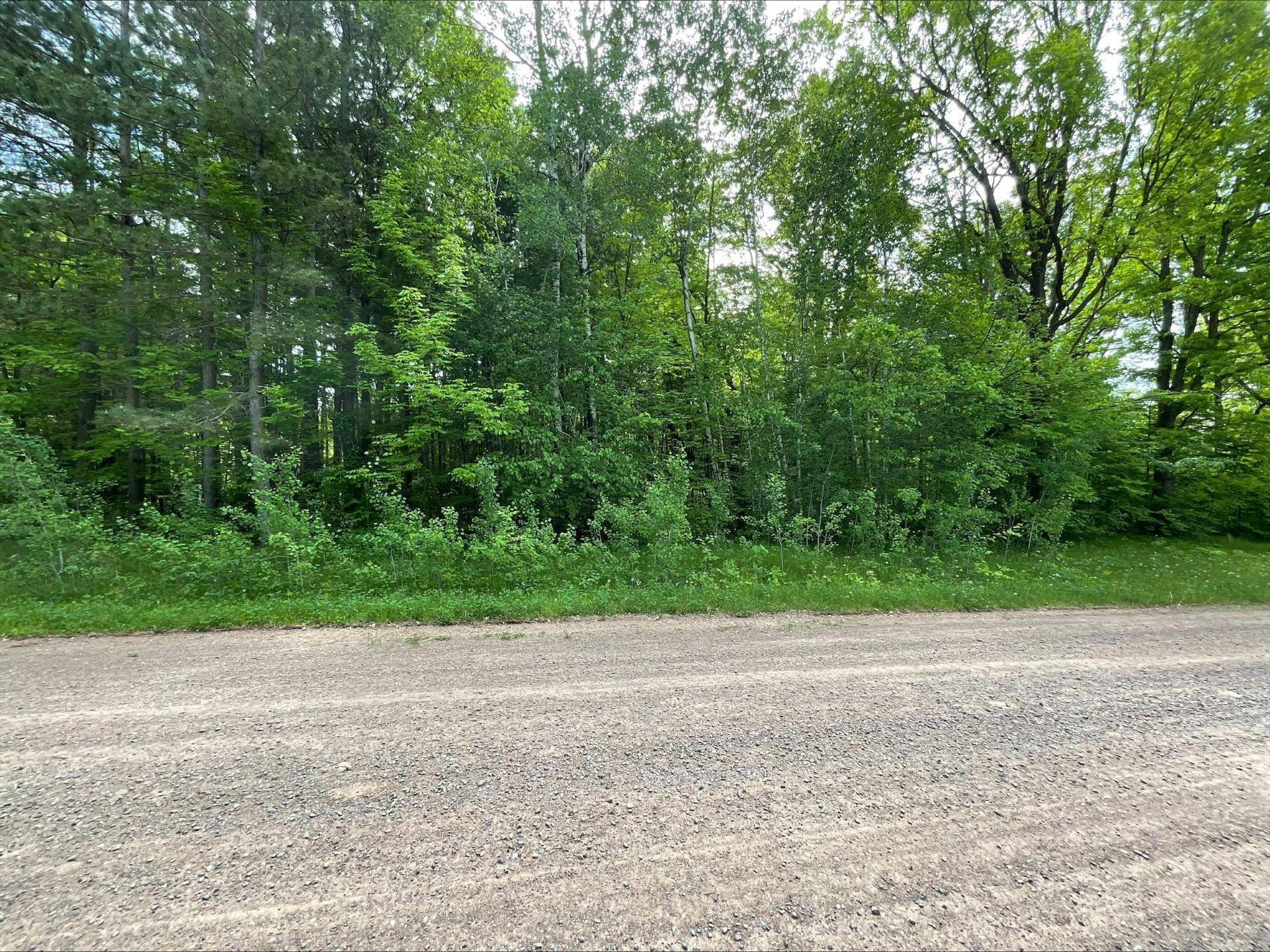 25945 Pine View Beach TRL, Brook Park, MN 55007