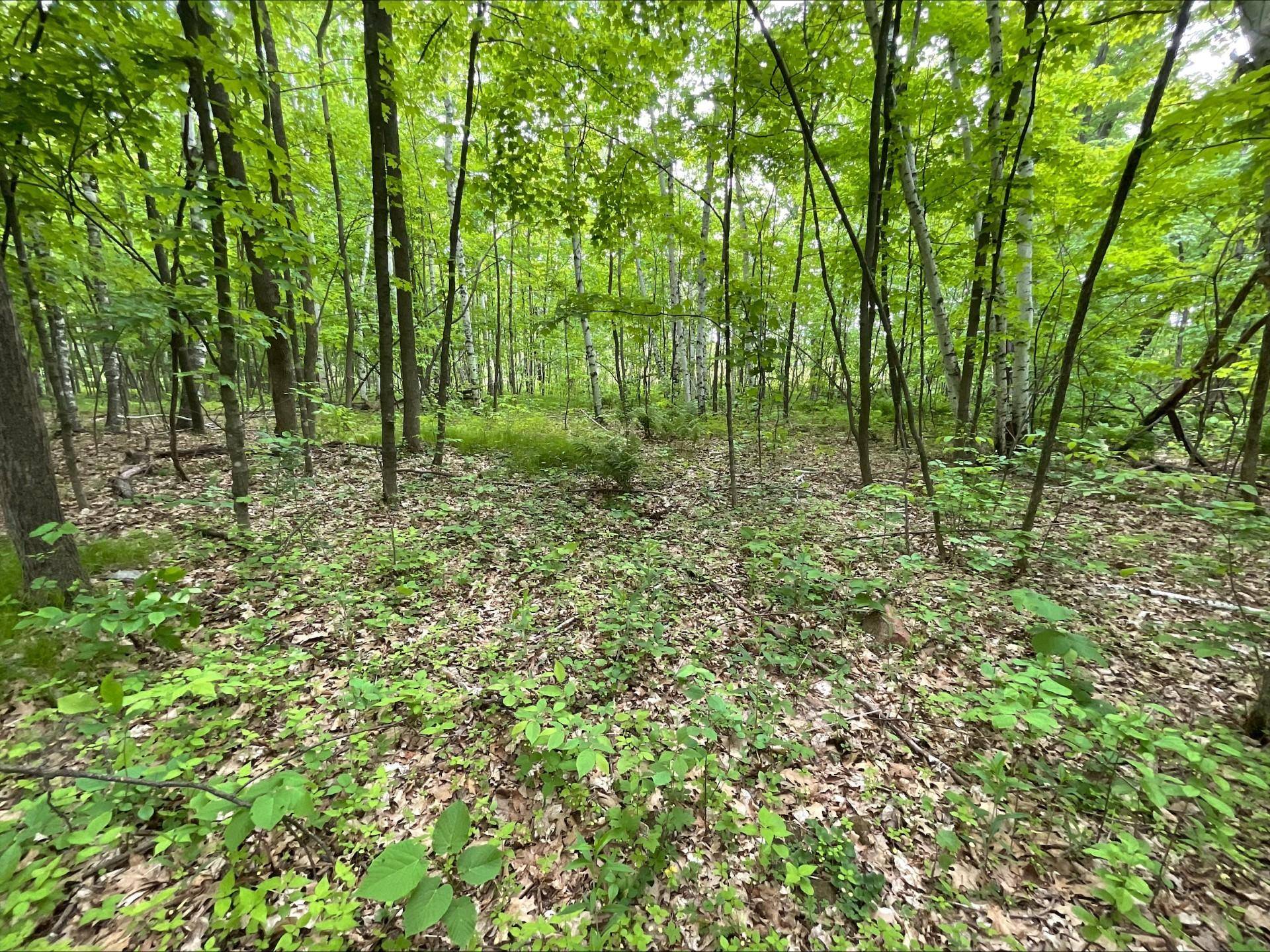 25945 Pine View Beach TRL, Brook Park, MN 55007