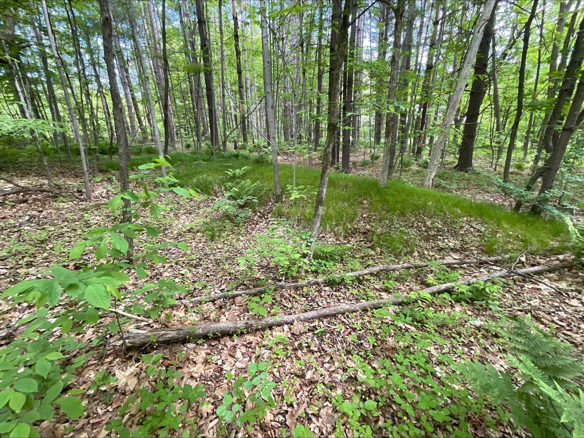 25945 Pine View Beach TRL, Brook Park, MN 55007