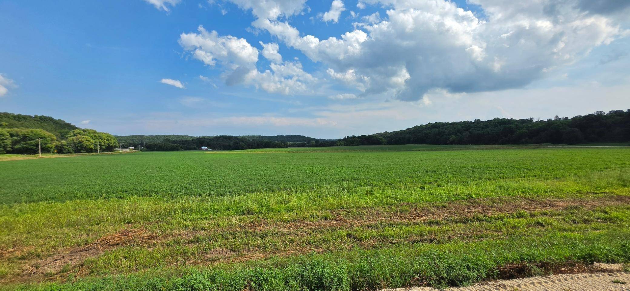 21 County Road, Mazeppa, MN 55956