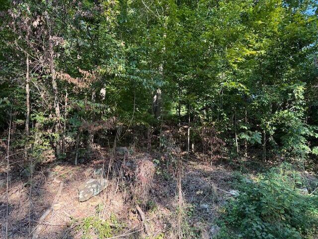 13 Mullins Cove Road, Whitwell, TN 37397