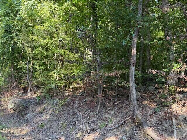 13 Mullins Cove Road, Whitwell, TN 37397