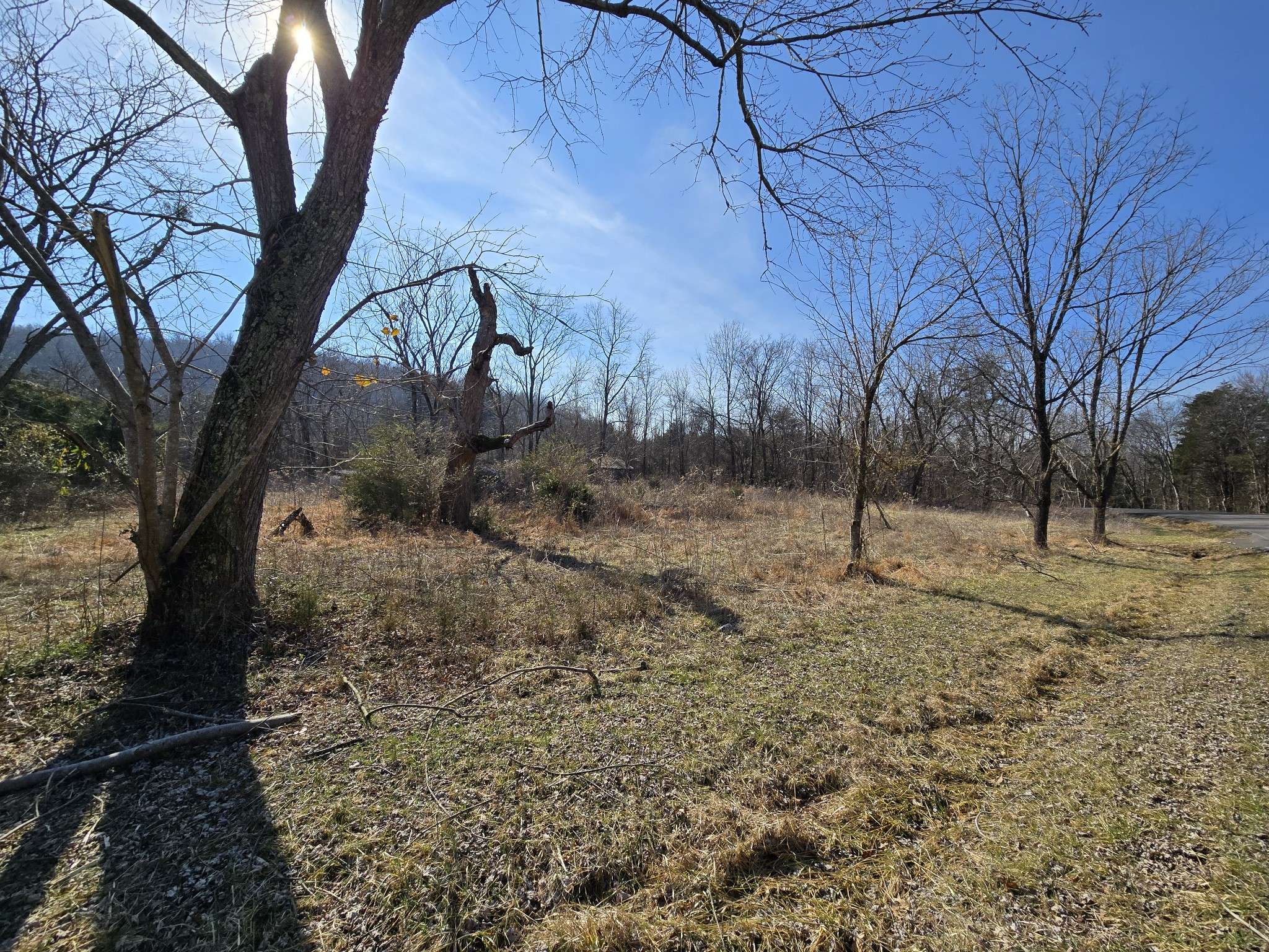 3434 Fosterville Short Creek Rd, Bell Buckle, TN 37020