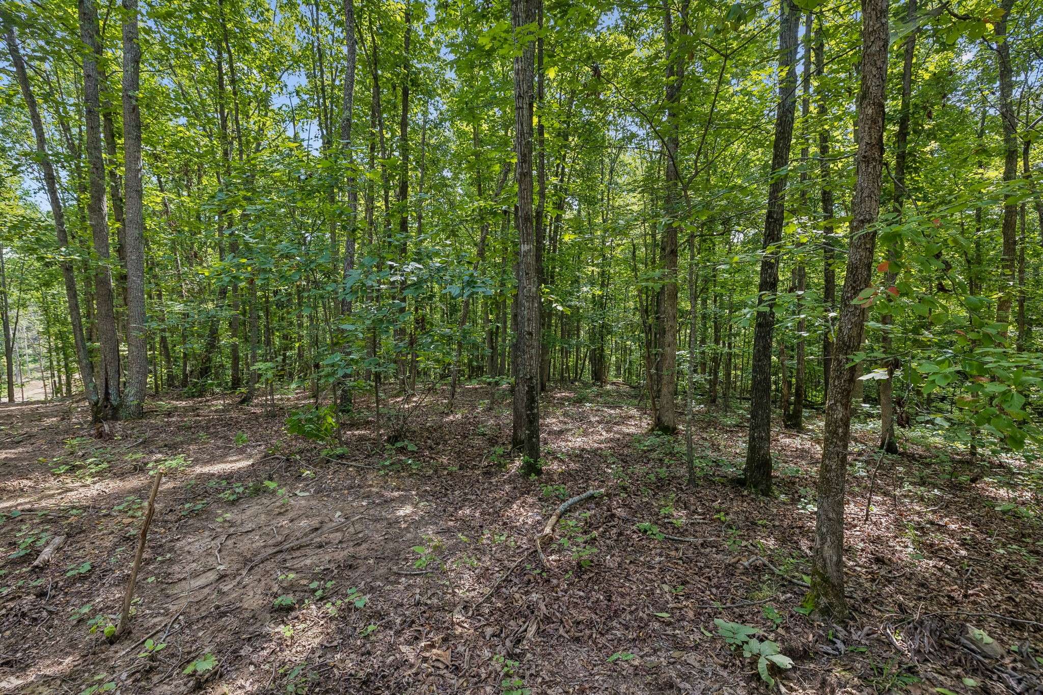 0 Falls Branch Road, Duck River, TN 38454