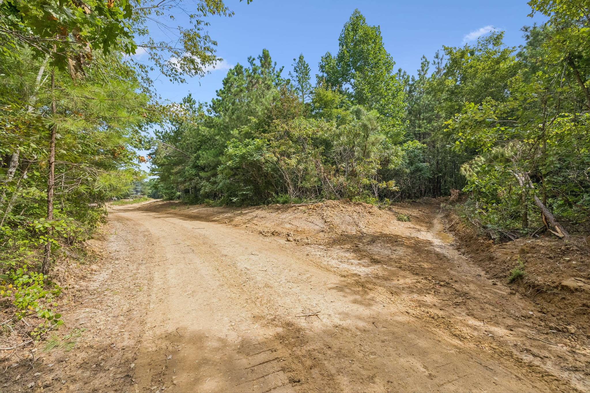 0 Falls Branch Road, Duck River, TN 38454