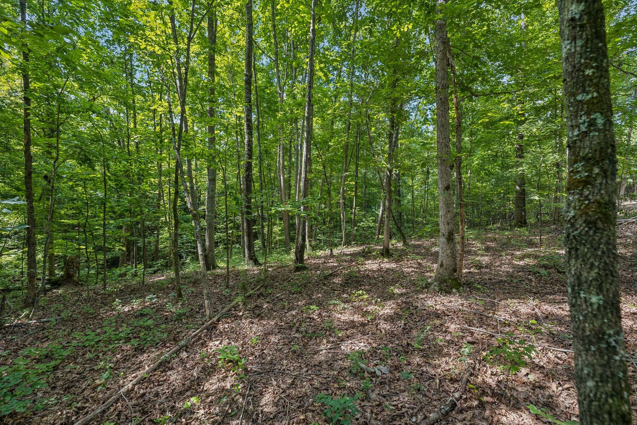0 Falls Branch Road, Duck River, TN 38454