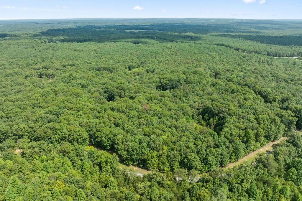 21 Hawks Bluff Rd, Spencer, TN 38585