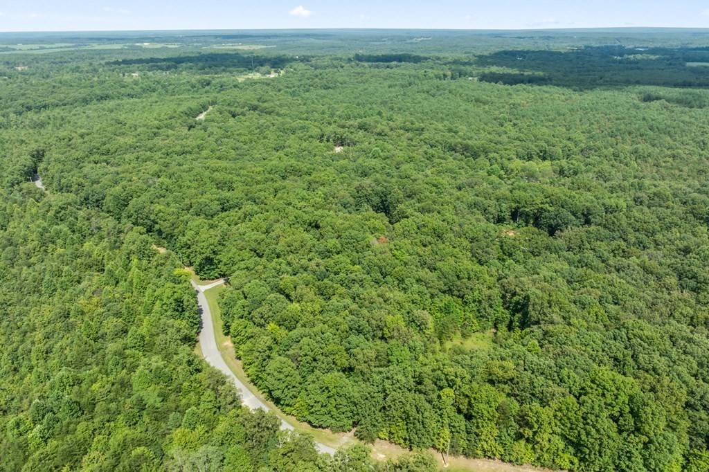 21 Hawks Bluff Rd, Spencer, TN 38585