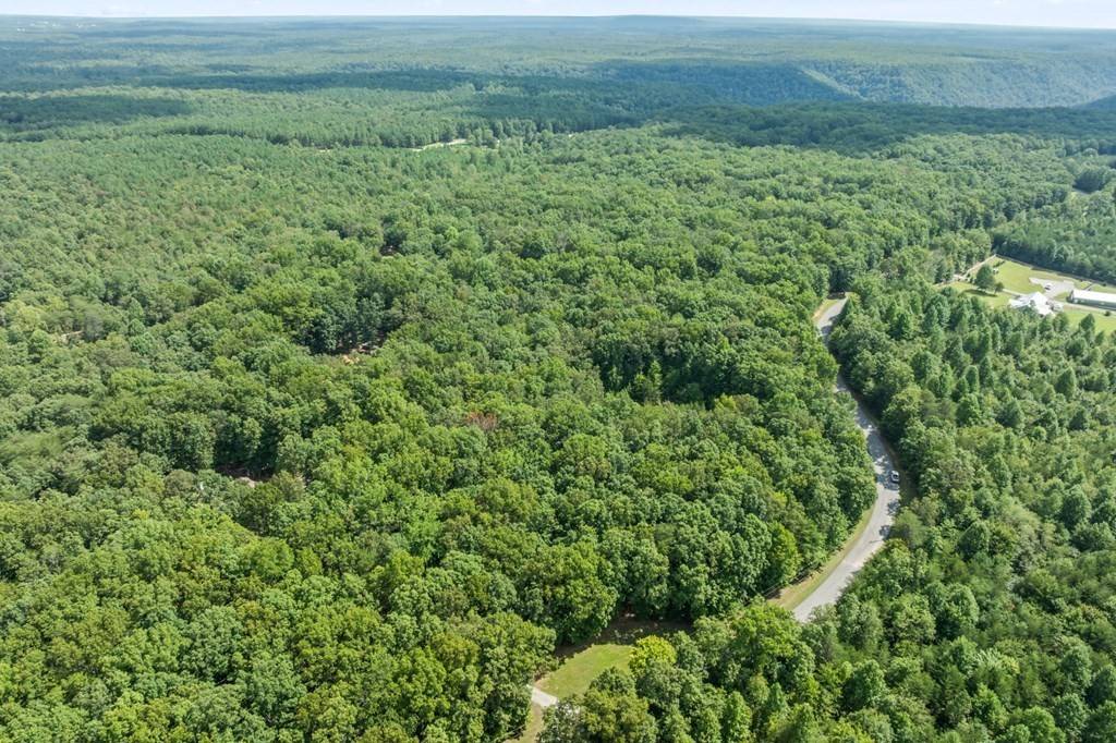 21 Hawks Bluff Rd, Spencer, TN 38585