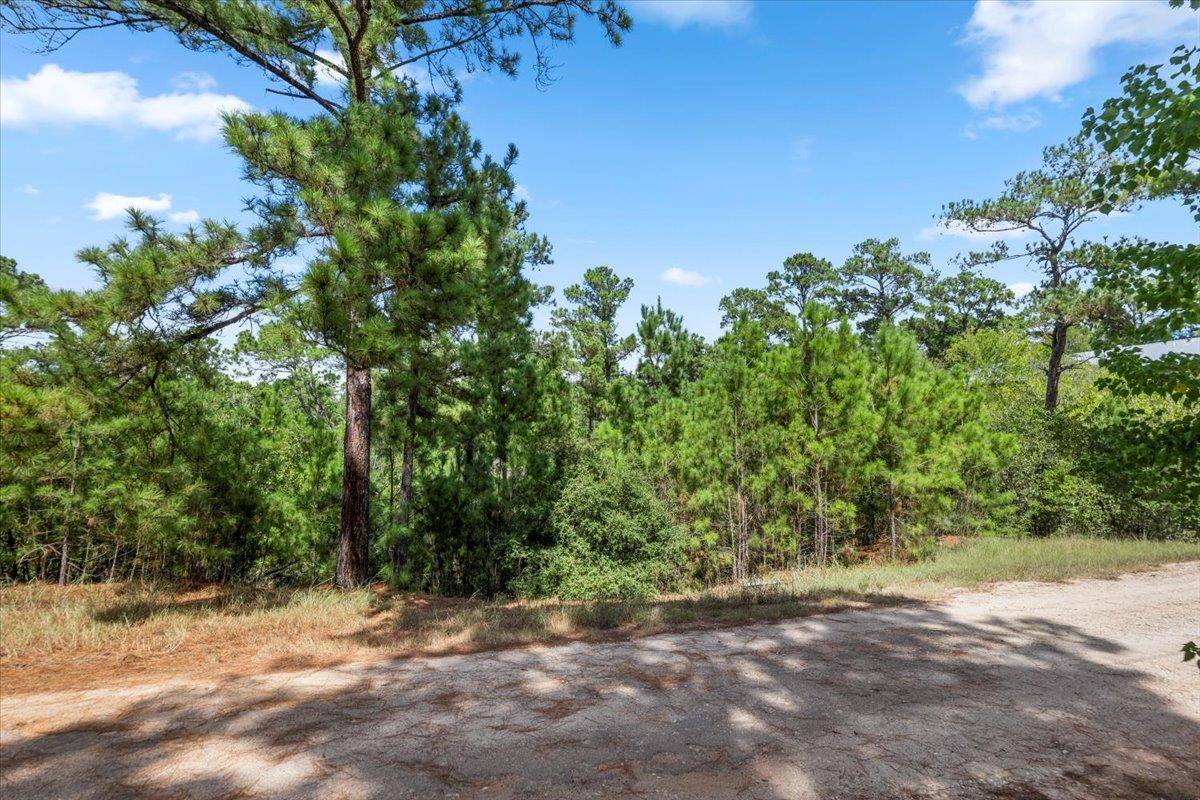 Lot 986 Kailua L LN, Bastrop, TX 78602
