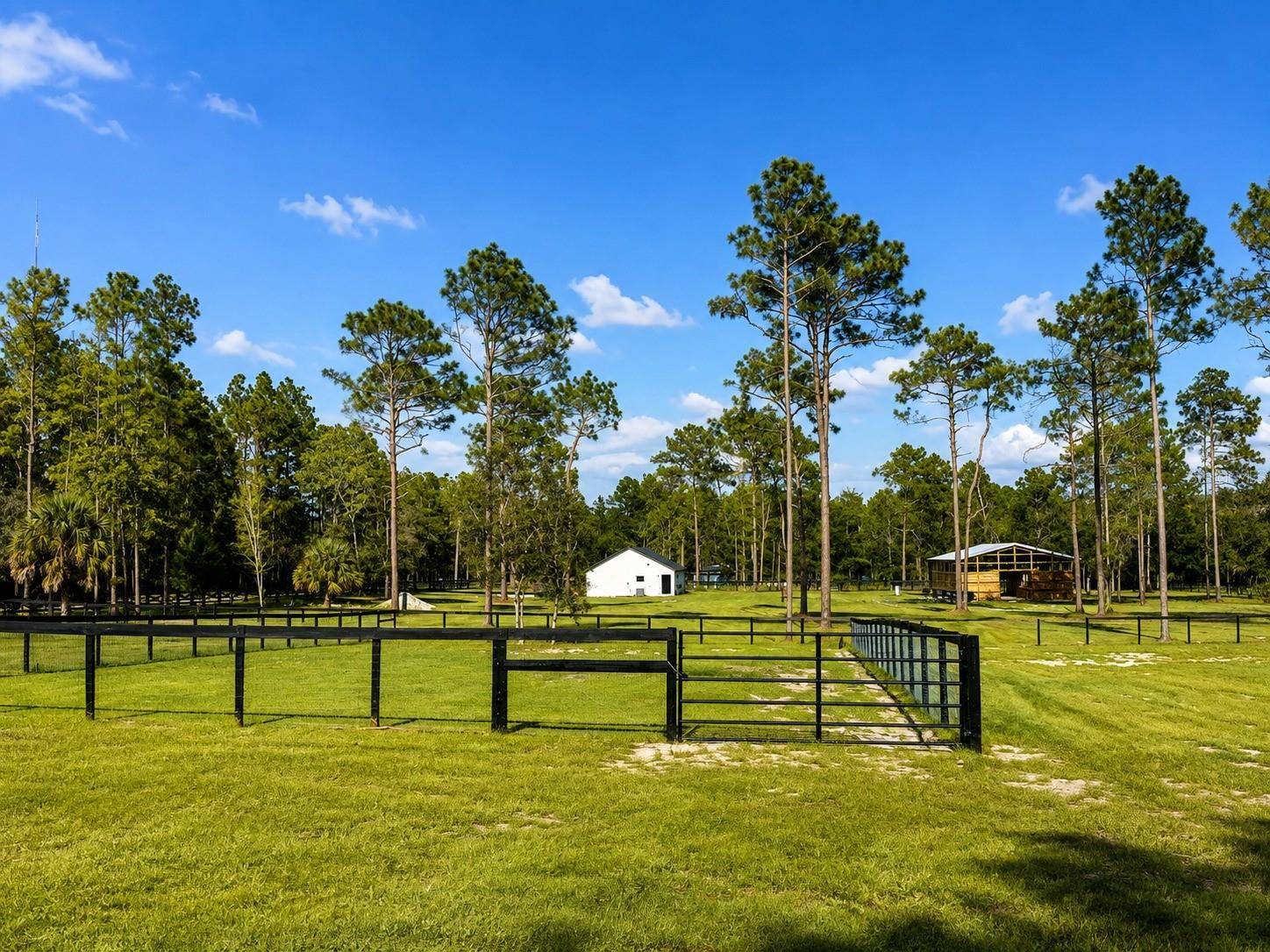 11670 SE 55TH LN, Morriston, FL 32668