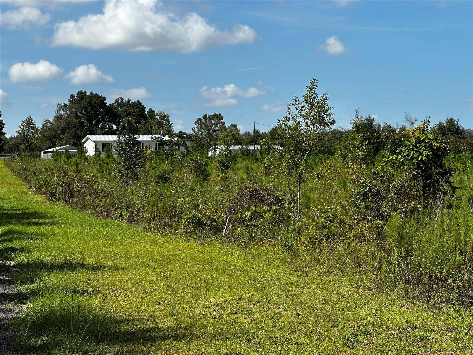 7351 NE 106TH TER, Bronson, FL 32621