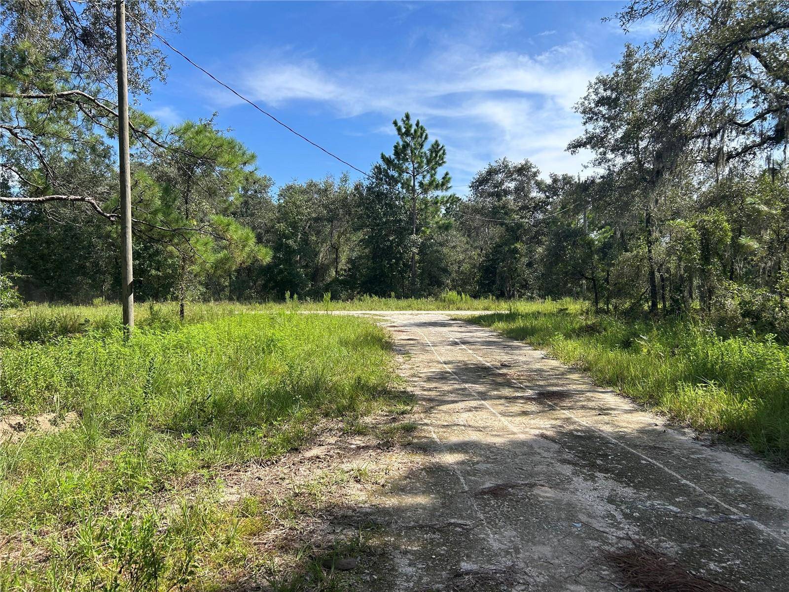 1631 NE 123RD TER, Williston, FL 32696